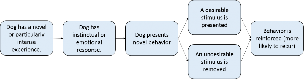 WhyDoesHeDoThat_flowchart